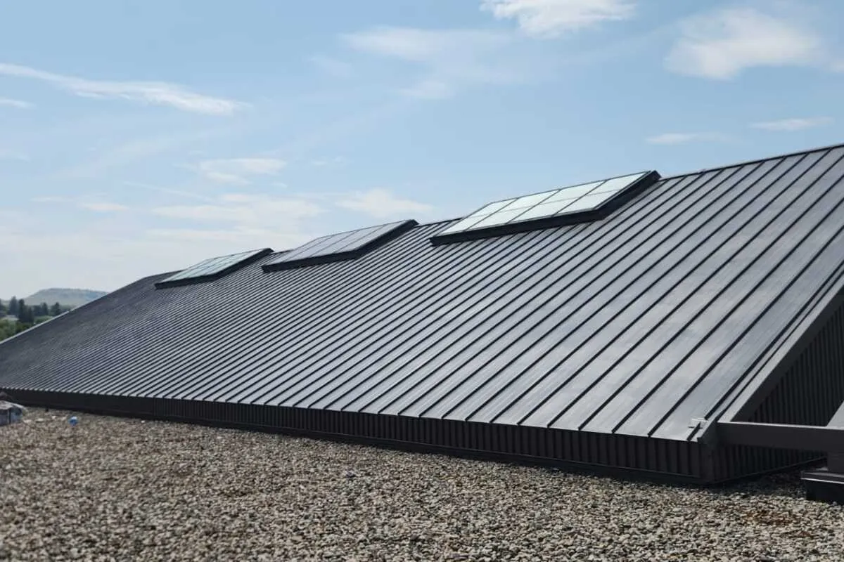 Before: Roof Cleaning